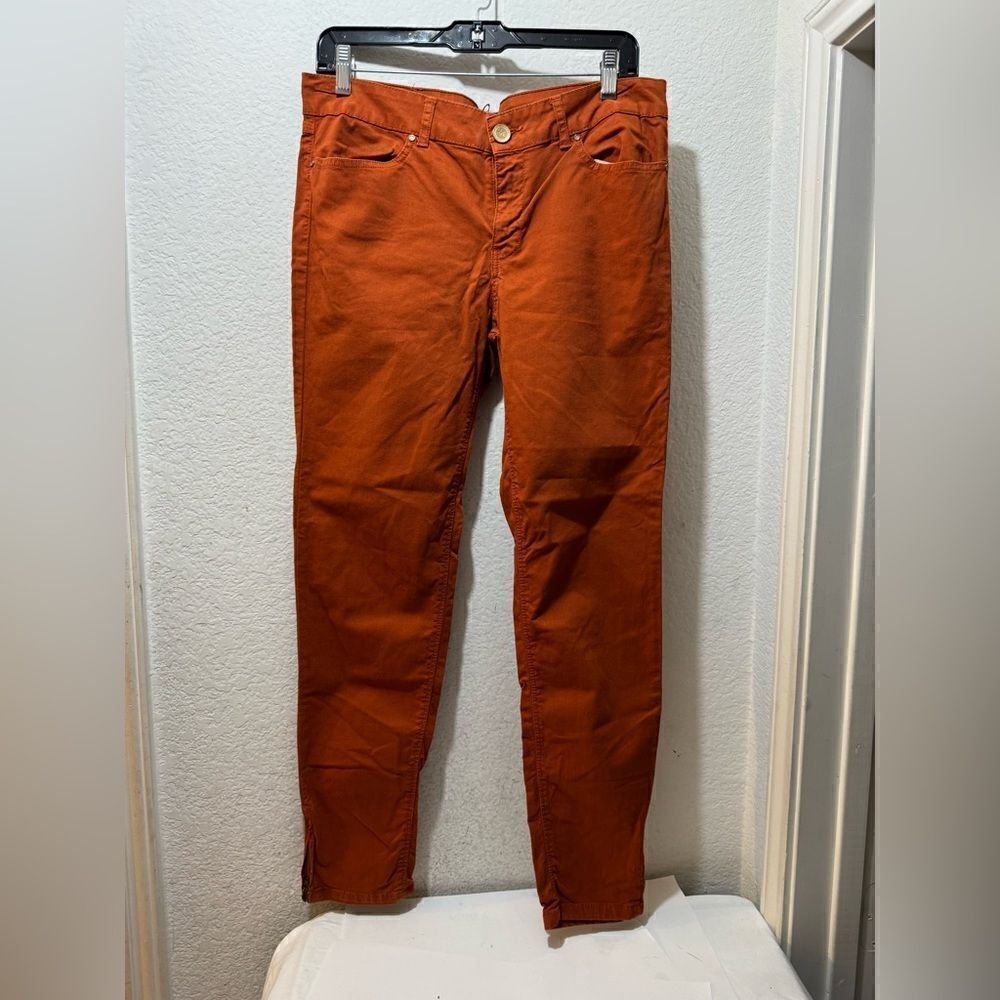 Zara Basic Denim Skinny Jeans size 10